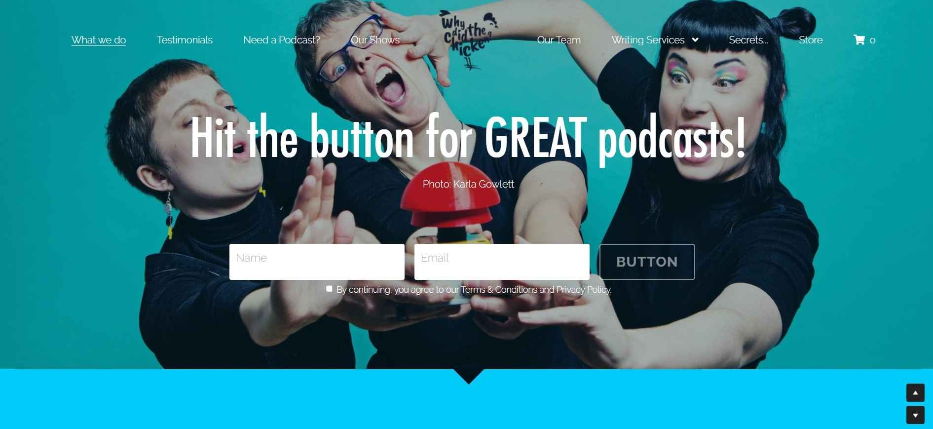 Why Did the Chicken Why Did the Chicken